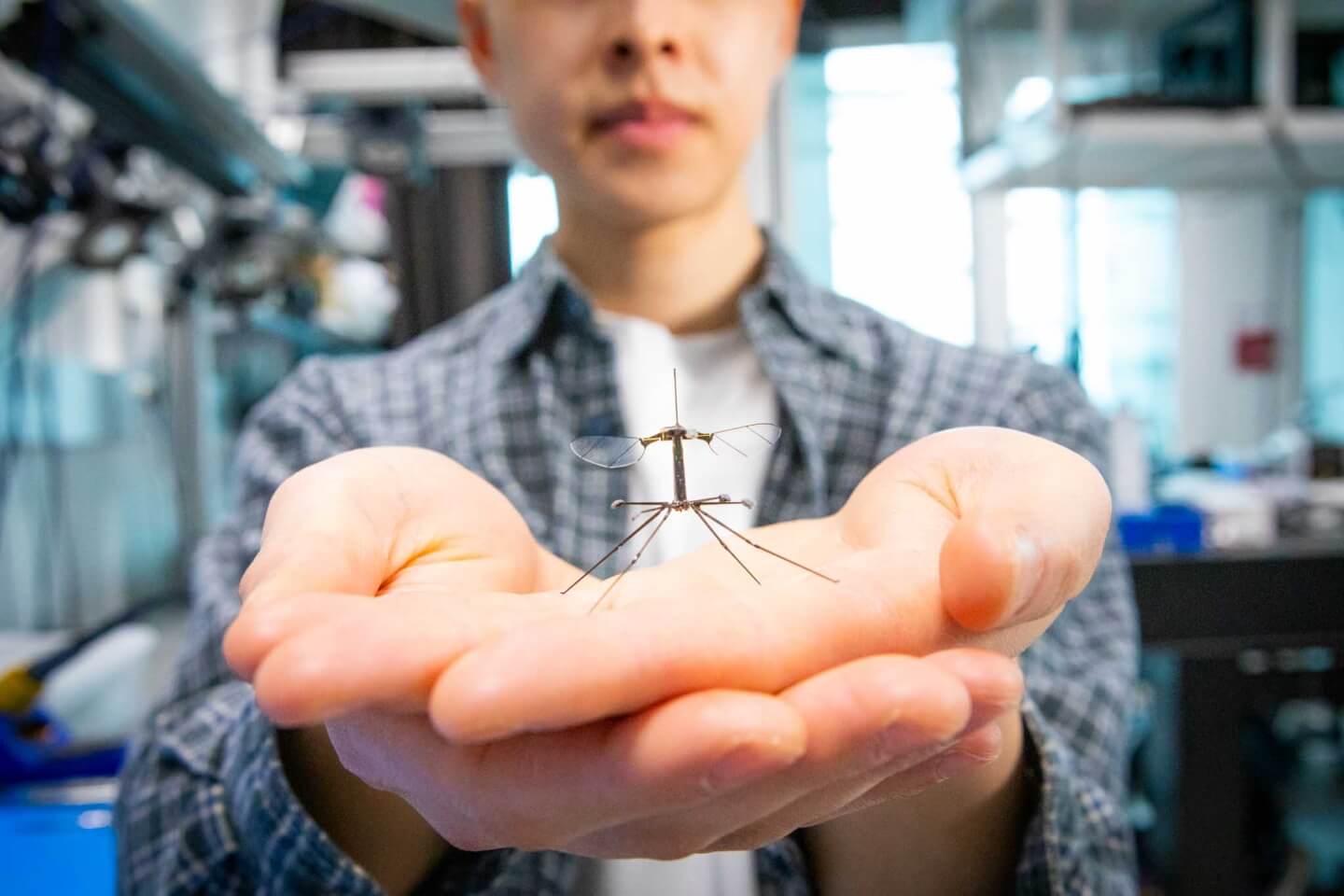 Robot Insect Foot Microrobot gets insect-inspired legs for soft touchdowns
